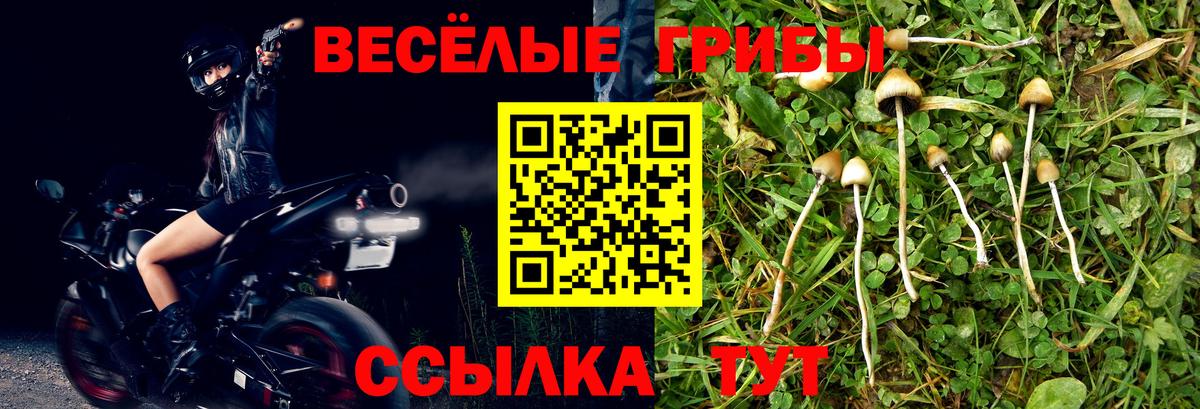 Первоуральск  Псилоцибиновые грибы MAGIC MUSHROOMS  Вход с VPN  Галлюциногенные грибы GOLDEN TEACHER 